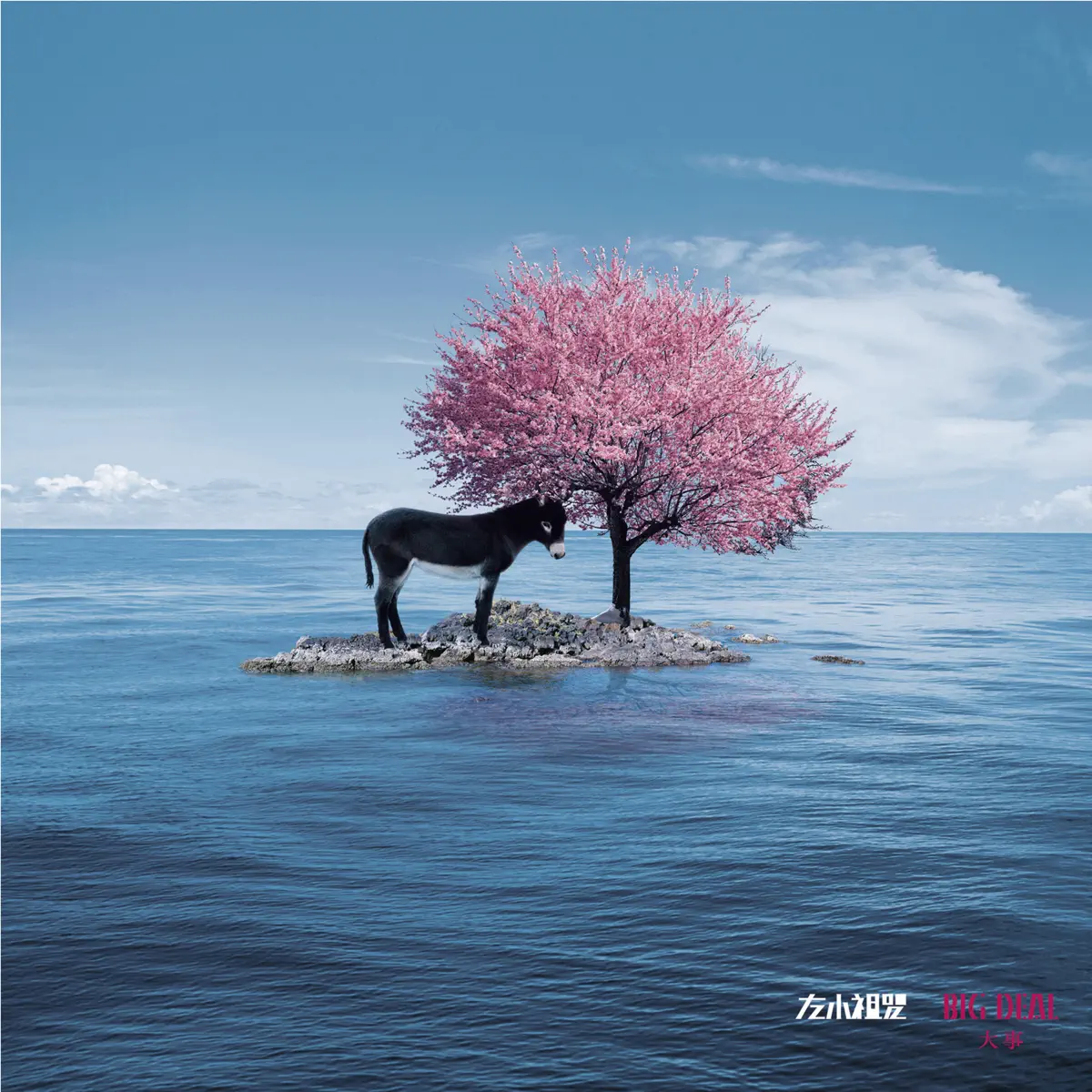 左小祖咒 - 大事 (2009) [iTunes Plus AAC M4A]-新房子