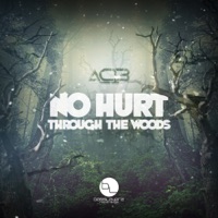 No Hurt/Through the Woods - Single - AC13