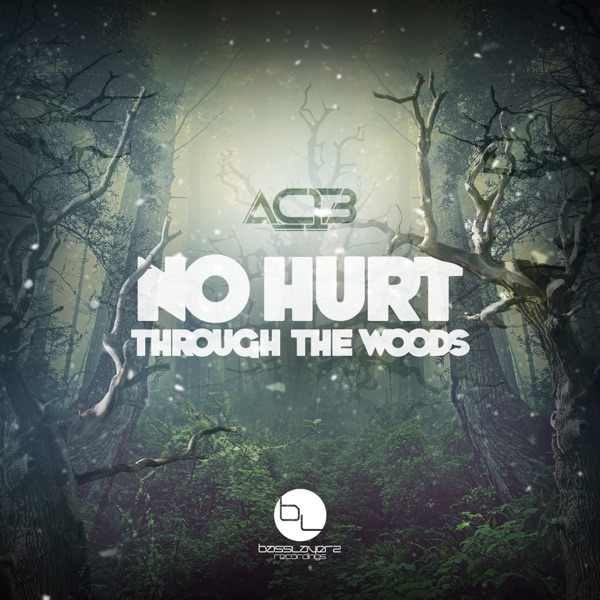 No Hurt/Through the Woods - Single