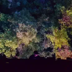 Luister naar Jeremy Bible, bekijk muziekvideo's, lees de bio, bekijk de tourdata, en meer!