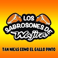 Los sabrosones de wajira - Ritmo nica