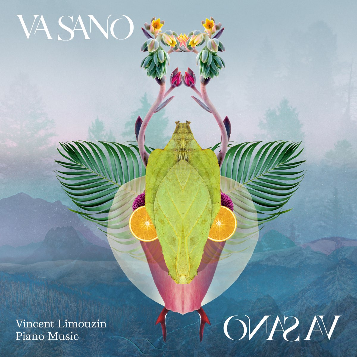 Va Sano - Album by Vincent Limouzin - Apple Music