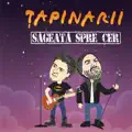sageata spre cer