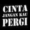 Cinta Jangan kau Pergi artwork