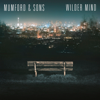 Mumford & Sons - The Wolf artwork