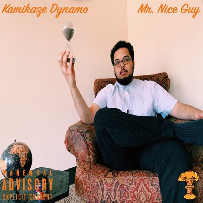 Mr. Nice Guy - Single