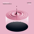 The Beginning (Acid Pauli Remix) - Single