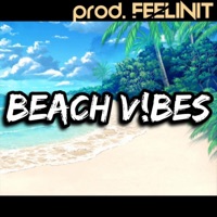 BEACH VIBES - Single - feelinit