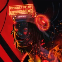 Product of My Environment - OmenXiii