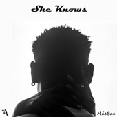 She Knows (feat. MáeBae) artwork