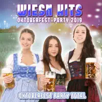 Du bist die Eine (Party Version) — Almklausi