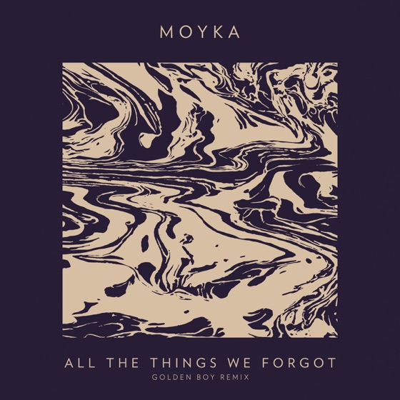 Cover artwork for All the Things We Forgot