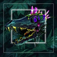 IRL Death - Single - Catslash & Sweeper