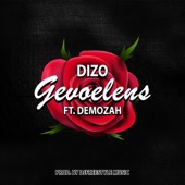 Gevoelens (feat. Demozah) artwork