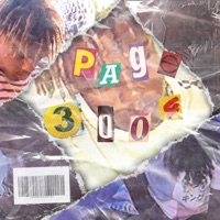 Page: 3004 - Single - Kid Exotic