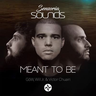 Meant to Be (feat. Feat=Victor Chuairi) - Single