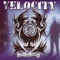 Skinhead In Stapress (NORMAL) - Velocity lyrics