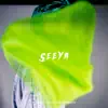 Seeya feat. gummyboy