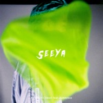 Seeya feat. gummyboy