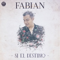 Fabian Murillo - Si el Destino