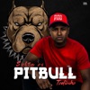 Solta os Pitbull Todinho - Single