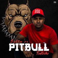 Solta os Pitbull Todinho - Single - MC PQD