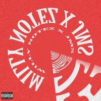 Good Vibez (feat. JMS) - Single - Willy Notez