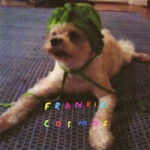 Frankie Cosmos - I Do Too