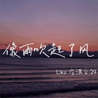像雨吹起了风 - Single - Liko & 莊淇文29