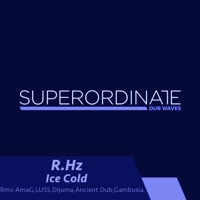 Ice Cold ( The Remixes ) - R.Hz