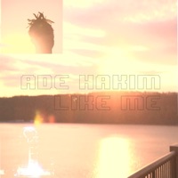 Like Me - Single - Adé Hakim