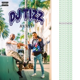Westside (feat. Dj Tizz, Moose & Anderson Small) [Remix] FKP