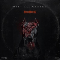 Obey All Orders - Single - DJ Mad Dog