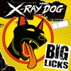 X-Ray Dog - Groovy Cutie