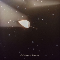 Delete Your Dreams - Single - Ekim