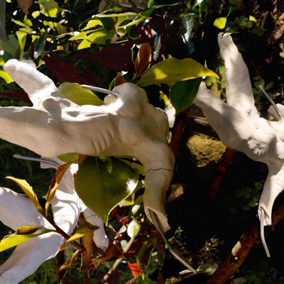 The Den Cypher (feat. Vicefield) - Single