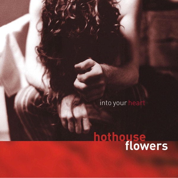 Into Your Heart cover art