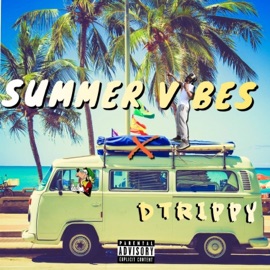 Summer Vibes Dtrippy