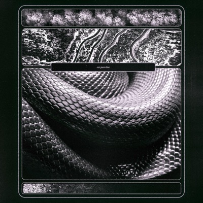 Serpentine - Single