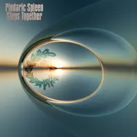 Steps Together — Pindaric Spleen