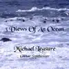Michael Leasure - 3rd View of an Ocean
