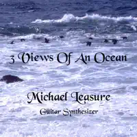 3rd View of an Ocean — Michael Leasure