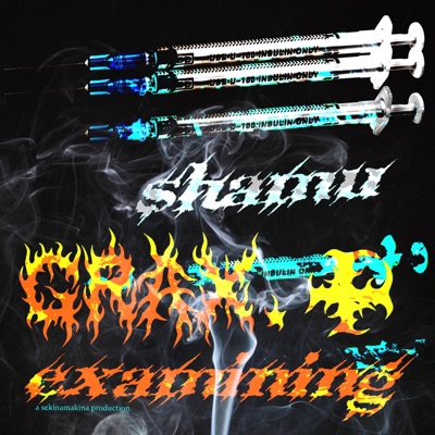 Shamu - Single