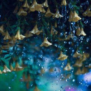 # 1 Sleep Sounds of Rain: Deep Relax and Sleep with Soothing Raining Sound