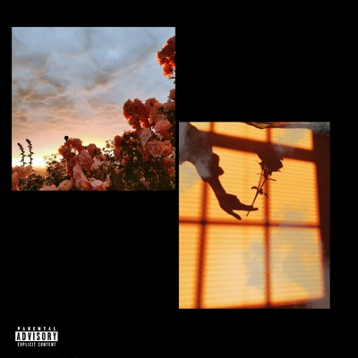 Guy Like Me - Single