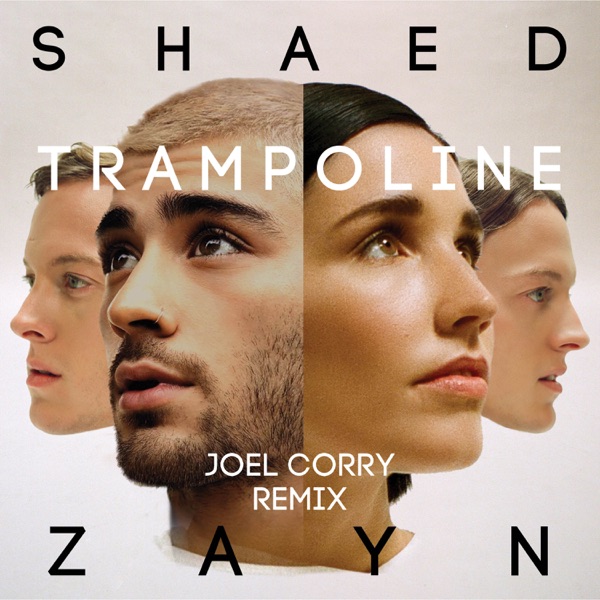 Trampoline (Joel Corry Remix) - Single - SHAED, ZAYN & Joel Corry