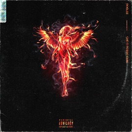 Che ci posso fare Doglee