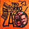 Trio Forrozão - Espuma aos Vento