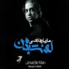 Mazyar Fallahi - Asheghoone