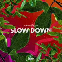 Slow Down-Aérotique